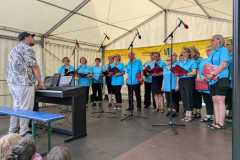 IMG-20250617-WA0050