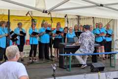 IMG-20250617-WA0053