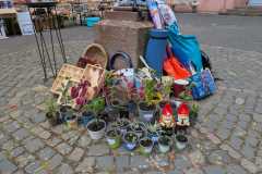 IMG-20250713-WA0032