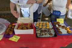 IMG-20250713-WA0040