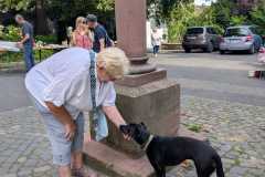 IMG-20250713-WA0048