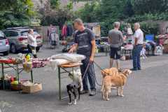IMG-20250713-WA0053