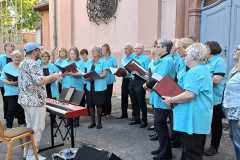 IMG-20250516-WA00411